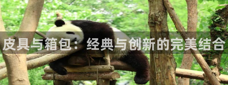意昂3新能源
