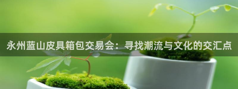 意昂体育3招商电话
