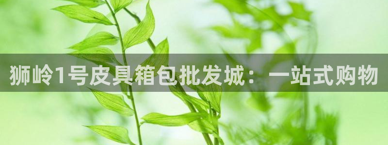 意昂平台体育