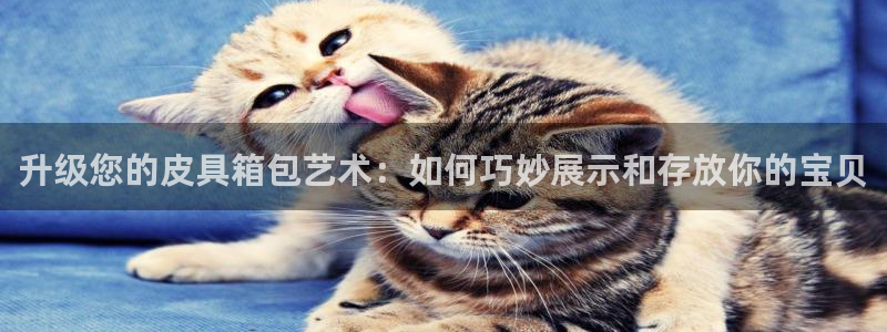 意昂体育3平台注册要钱吗安全吗