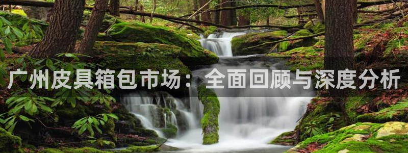 意昂体育3平台注册流程图