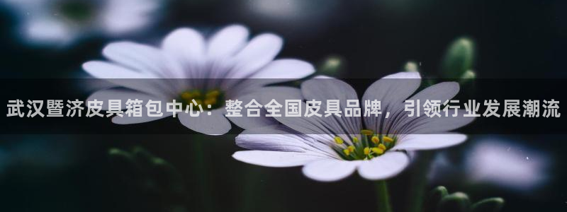 意昂体育3平台假的吗是真的吗