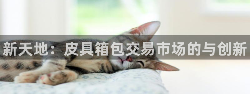 意昂平台体育