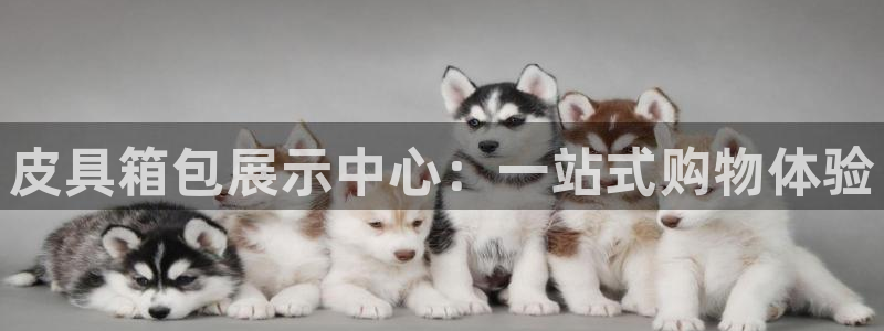 意昂3娱乐首页网站大全