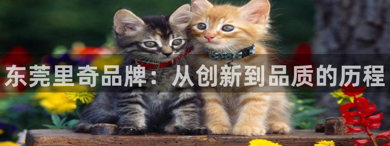 意昂体育3是干嘛的公司
