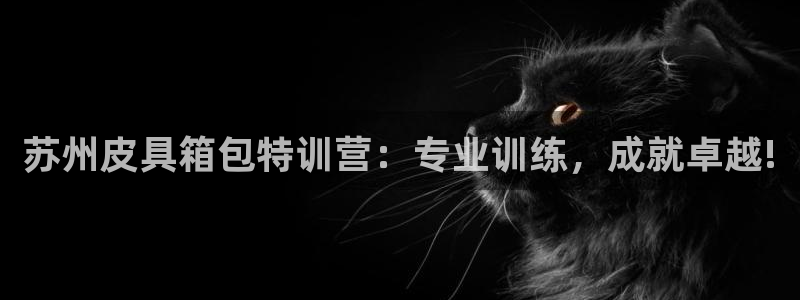 意昂3娱乐代理怎么样