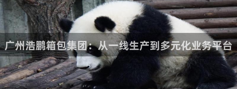 意昂体育3平台注册