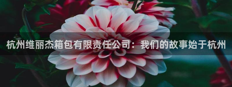 意昂体育3招商电话号码是多少啊