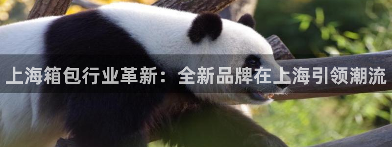 意昂体育3平台是正规平台吗