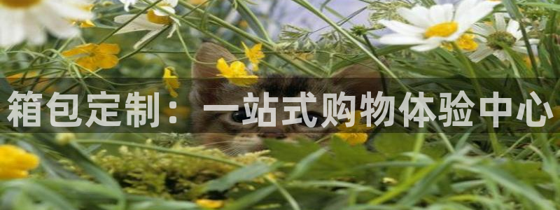 意昂体育3招商电话号码是多少号