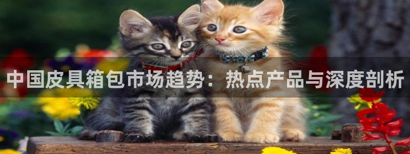 意昂体育3招商电话号码是多少