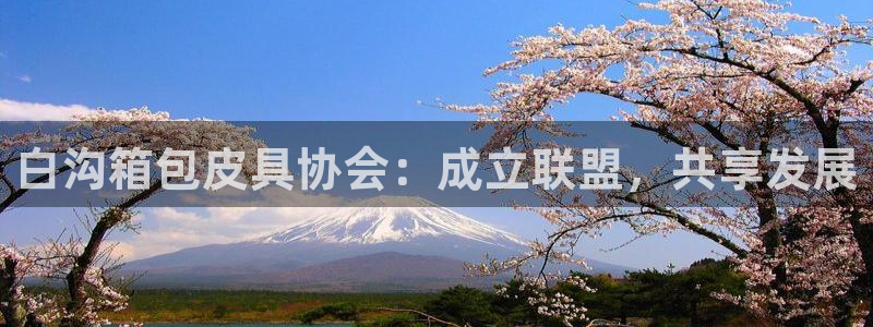 海南意昂体育3发展怎么样